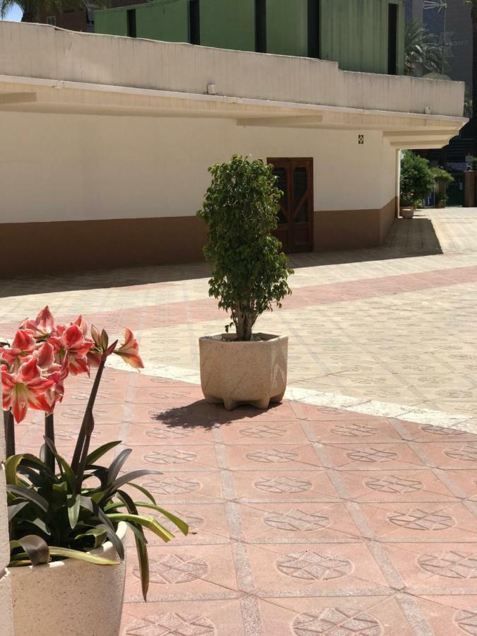 Apartamentos Provima Бенідорм Екстер'єр фото